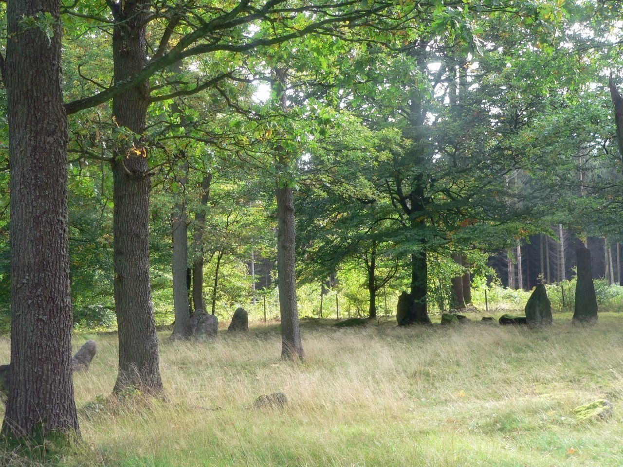 Grabfeld bei Haeglinge (SE)