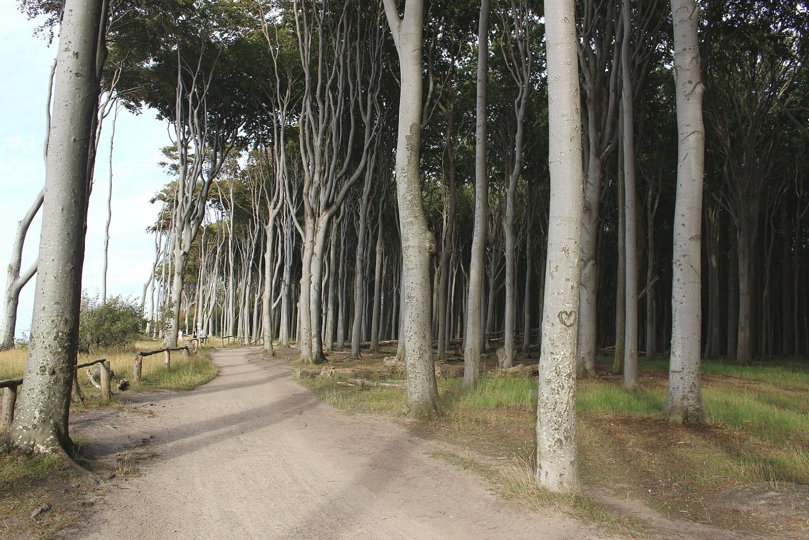 Auf dem Ostseeküstenradweg von der Insel Rügen nach Wismar